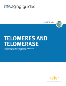 telomeres and telomerase - American Federation for Aging Research