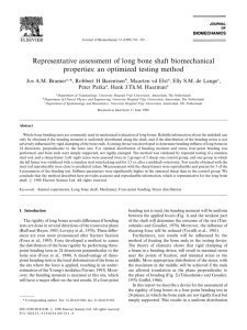 Representative assessment of long bone shaft biomechanical