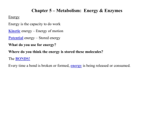 Chapter 5 – Metabolism: Energy & Enzymes