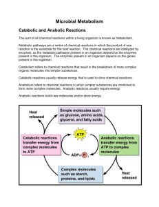 Microbial Metabolism Catabolic and Anabolic Reactions