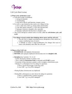 Cell Cycle Short Lecture