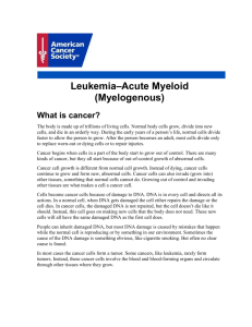 Leukemia–Acute Myeloid (Myelogenous)