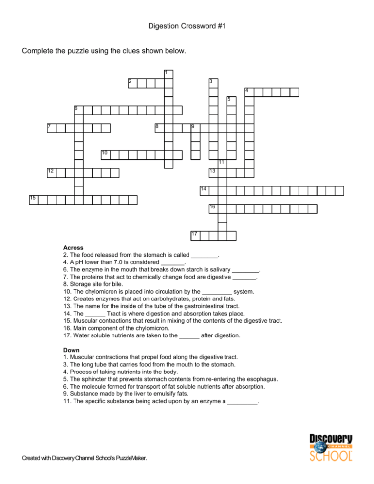 Digestion Crossword 1 Plete The Puzzle Using The Clues Shown