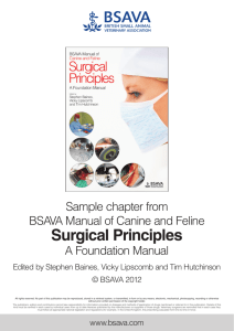 BSAVA Manual of Surgical Principles - A Foundation