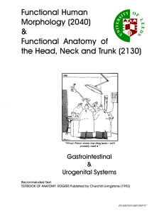 Functional Human Morphology (2040) & Functional Anatomy of the