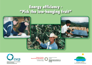 Energy efficiency - “Pick the low-hanging fruit”