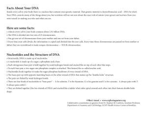 Facts About Your DNA Here are some facts