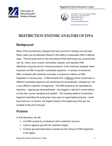 restriction enzyme analysis of dna