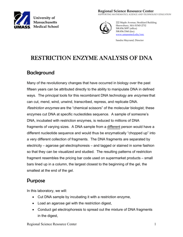  restriction Enzyme Analysis Of Dna 