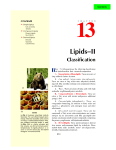 13. lipids ii