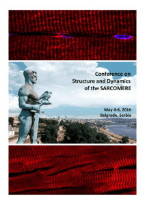 Conference on Structure and Dynamics of the Sarcomere