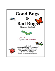 Good Bugs & Bad Bugs