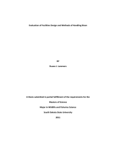 Evaluation of Facilities Design and Methods of Handling Bison BY