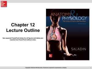 Chapter 12 Lecture Outline