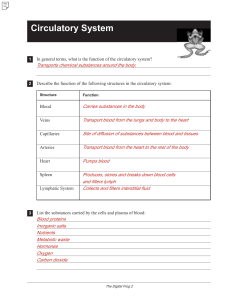 A Downloadable Sample Workbook Page