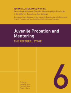 Juvenile Probation and Mentoring