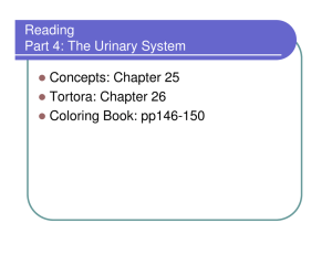 Reading Part 4: The Urinary System Concepts: Chapter 25 Tortora