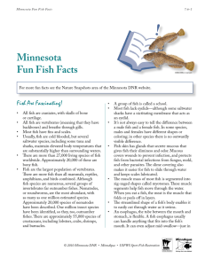 Minnesota Fun Fish Facts