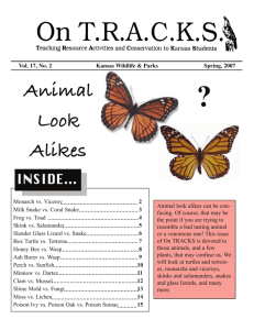 Animal Look Alikes - Kansas Department of Wildlife and Parks
