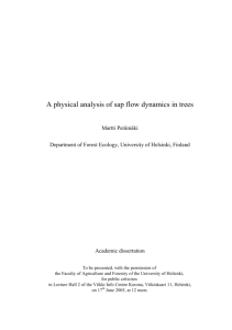A physical analysis of sap flow dynamics in trees