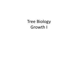 Tree Biology Growth I