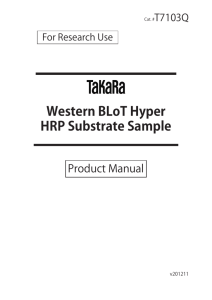 Western BLoT Hyper HRP Substrate Sample