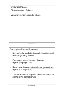 Review Last Class Characteristics of plants Vascular vs