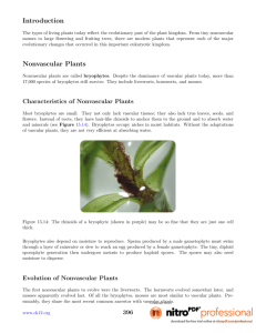 Introduction Nonvascular Plants