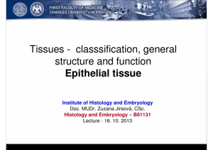 Tissues - classsification, general structure and function Epithelial