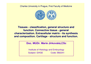 Tissues - classification, general structure and function. Connective