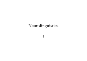 Neurolinguistics: Power point presentation 1-2-3