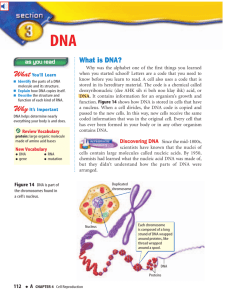 •DNA •RNA