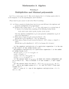 Mathematics 3: Algebra Multiplicities and Minimal polynomials