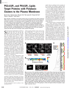 PI(3,4,5)P3 and PI(4,5)P2 Lipids Target Proteins with Polybasic