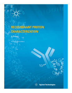 recombinant protein characterization