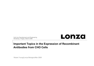 Important Topics in the Expression of Recombinant