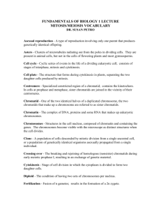 fundamentals of biology 1 lecture mitosis/meiosis