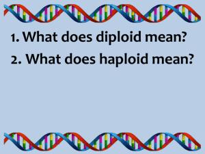 1. What does diploid mean? 2. What does haploid mean?