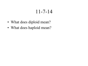 • What does diploid mean? • What does haploid mean?
