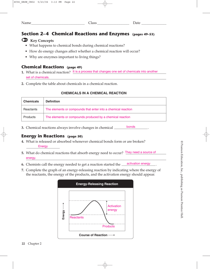 Enzyme Reactions Worksheets