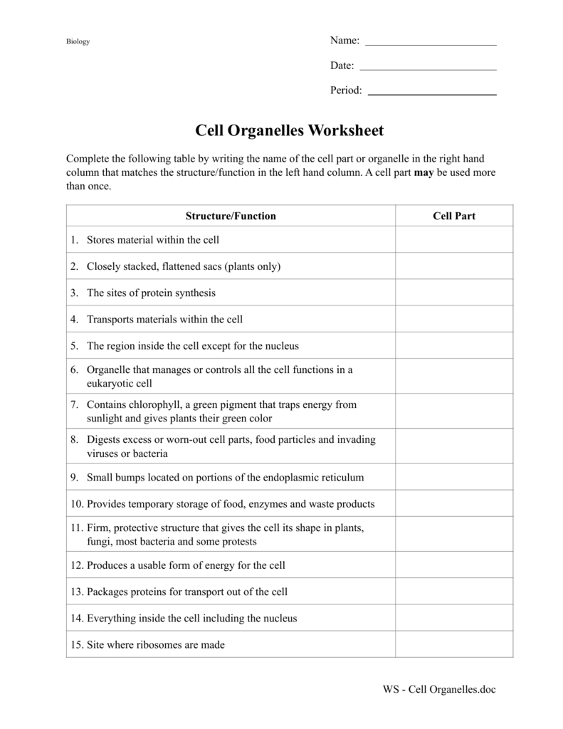 Cell Organelles Worksheet 20 Throughout Function Of The Organelles Worksheet