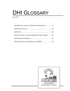 dhi glossary - Using the correct paths