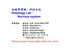 組織學實驗 : 神經系統 Histology Lab : Nervous system