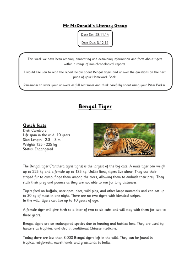 Реферат: Tiger Essay Research Paper TigerOn December 30