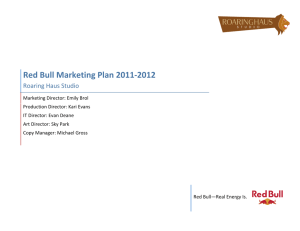 Red Bull Marketing Plan 2011‐2012