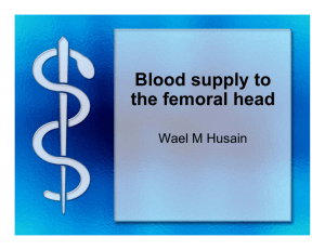 Blood Supply to the Femoral Head by Dr. Husain