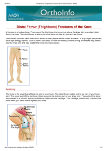 Distal Femur (Thighbone) Fractures of the Knee