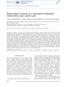 Weak habitat isolation in a threespine stickleback