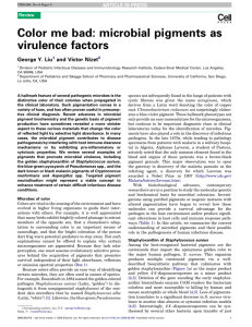 Color me bad: microbial pigments as virulence factors