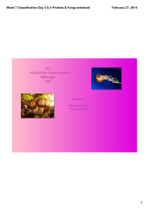 Week 7 Classification Day 3 & 4 Protista & Fungi.notebook